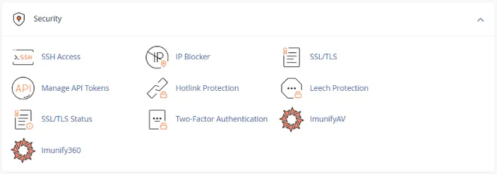 cPanel security section