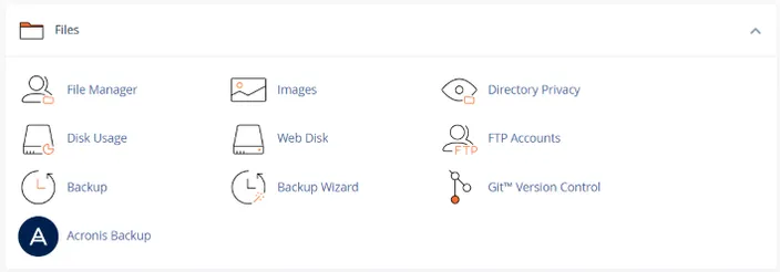 cPanel files section