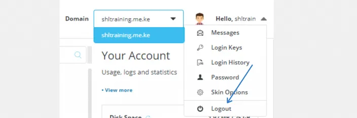 DirectAdmin user menu with the Logout option highlighted