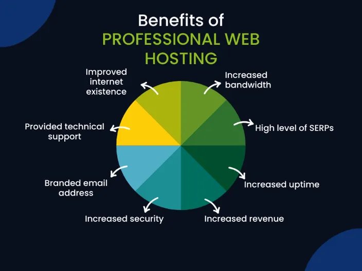 A pie chart showing the benefits of professional web hosting.