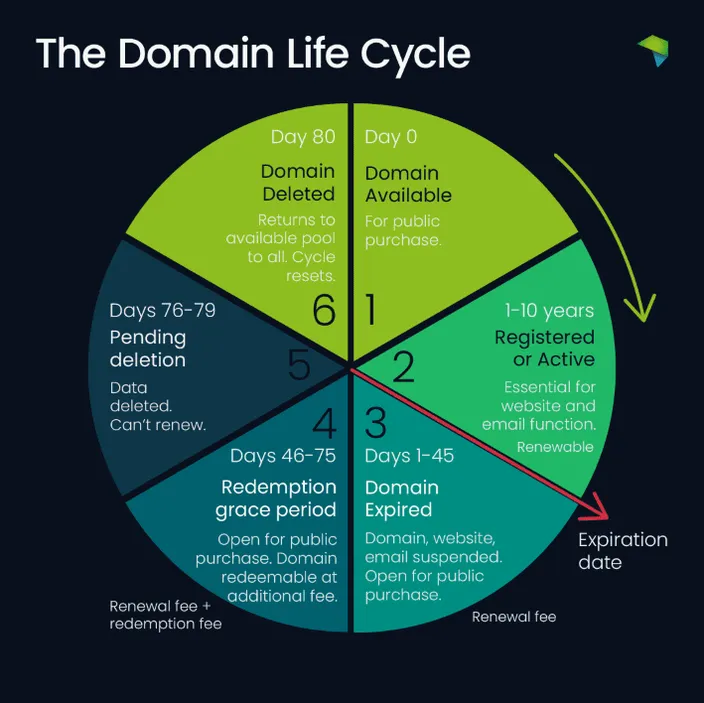 A chart showing the domain life cycle of a .com domain from when it's available to when it's deleted