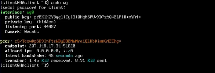 terminal output