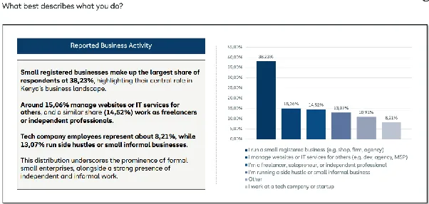 HostAfrica Kenya SMB Insight Lab chart of the reported business activity of Kenyan customers