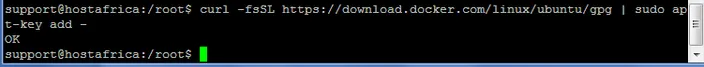 terminal output