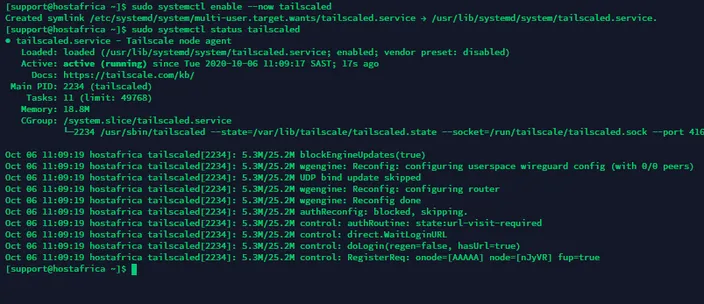 tailscale status output