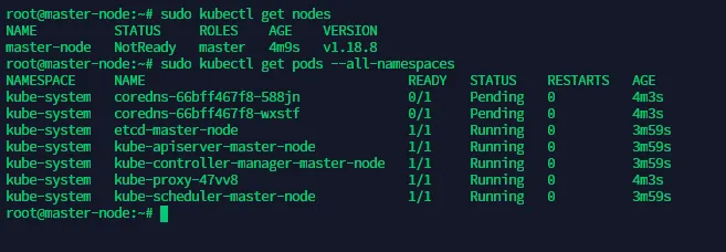 terminal output