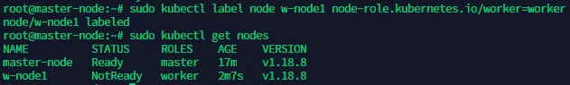 terminal output