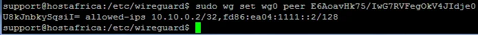 terminal output