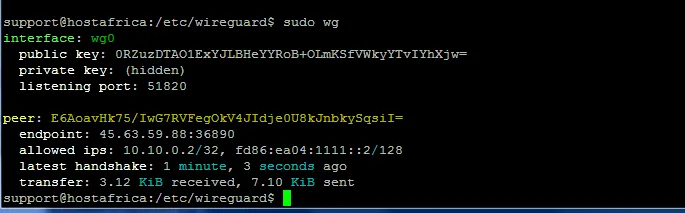 terminal output