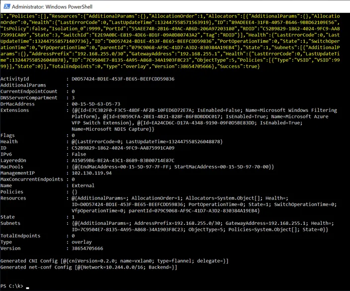 terminal output