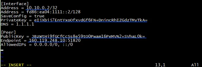 Ubuntu client config file_vim