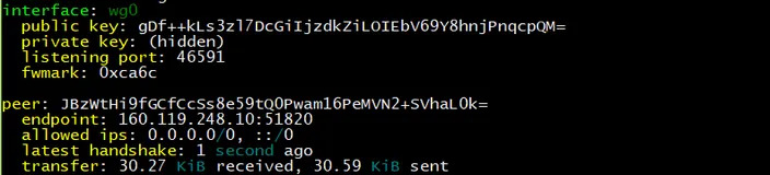 Ubuntu WireGuard client machine status